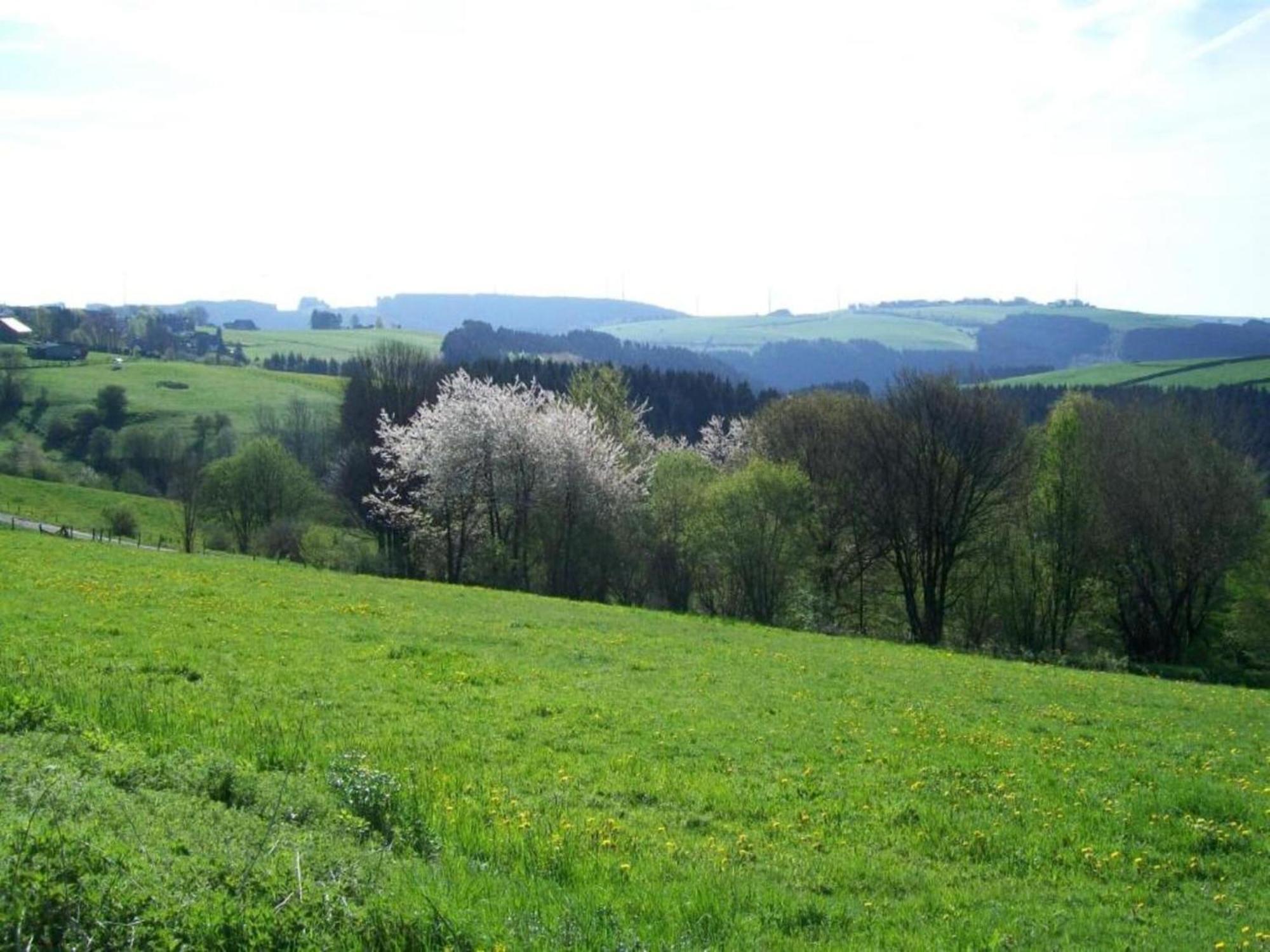 Holiday Home With Garden In Hellenthal Eifel Exteriér fotografie